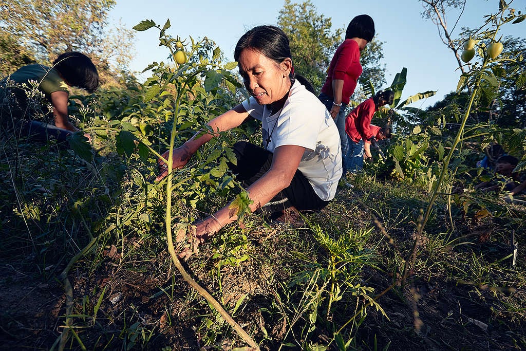 Women Farmers at Training Center in the Philippines. © Greenpeace / John Novis