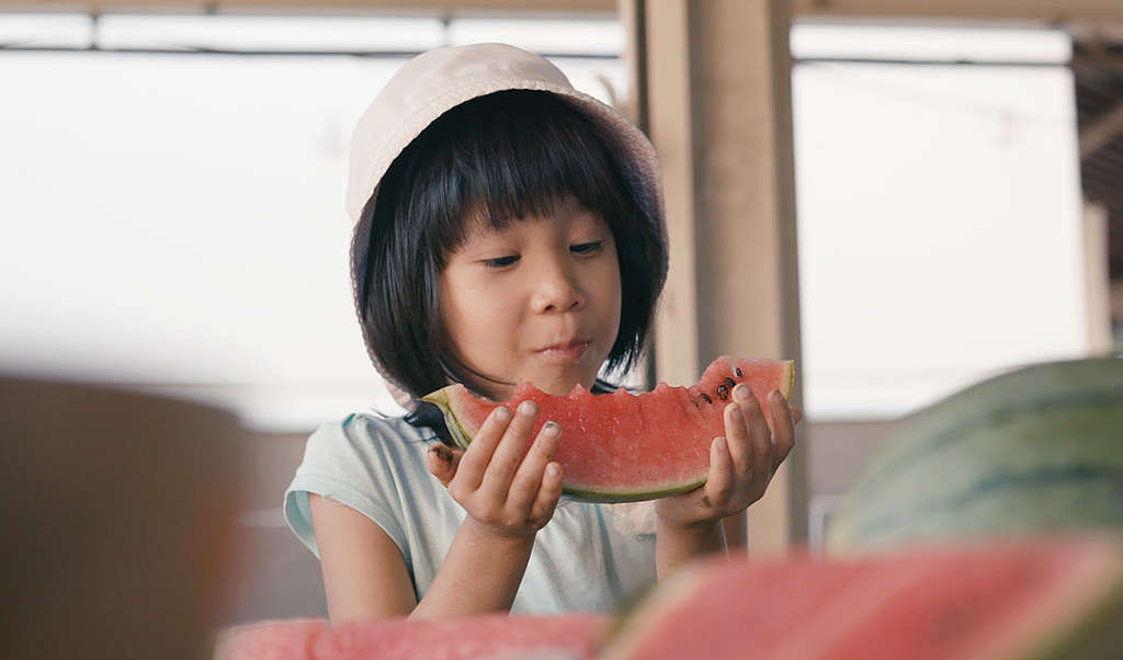 Child Eating Ecological Watermelon in Tokyo. © Greenpeace Child Eating Ecological Watermelon in Tokyo. © Greenpeace