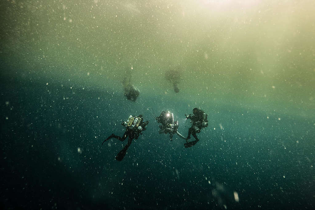 Deep Divers in the Amazon Reef. © Pierre  Baelen / Greenpeace