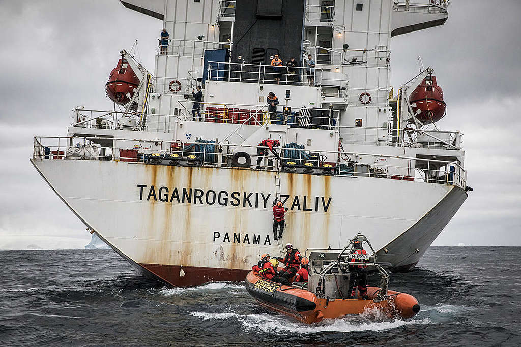 Activists Inspect the Taganrogskiy Zaliv Reefer in Antarctica. © Andrew McConnell / Greenpeace
