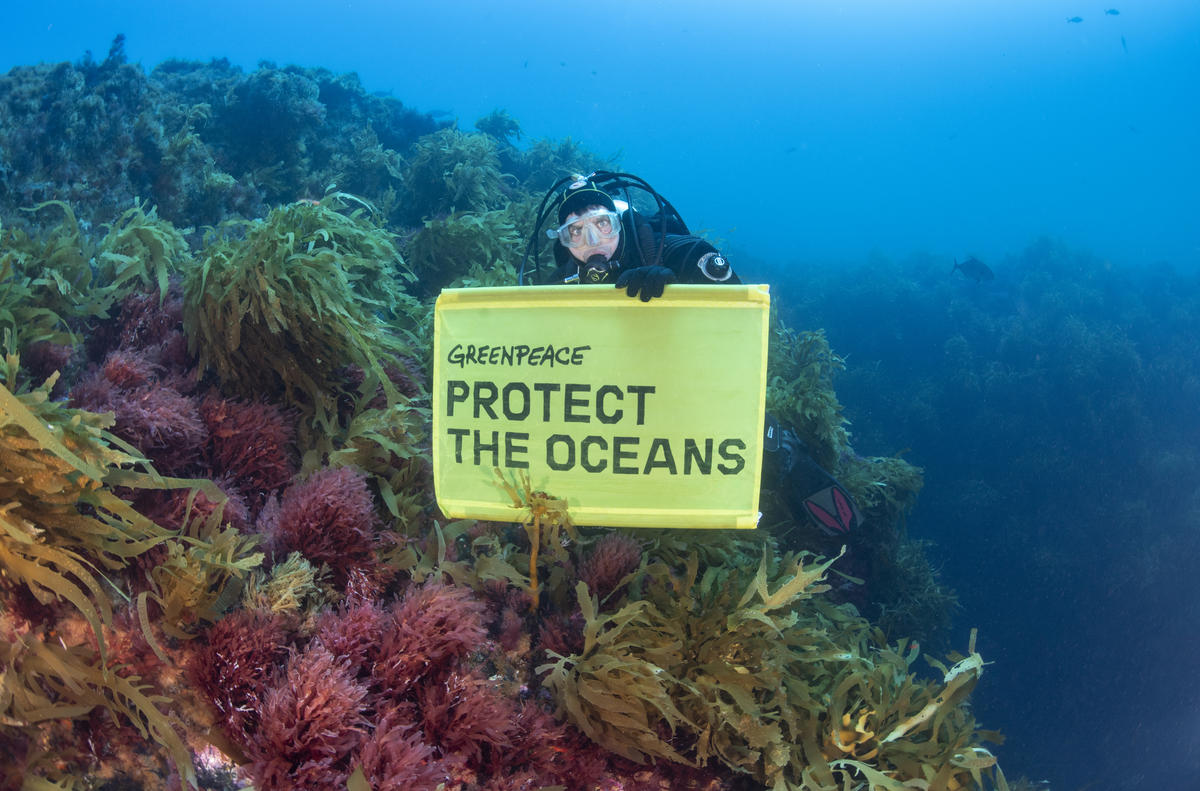 Diving Operation at Vema Seamount. © Richard Barnden / Greenpeace