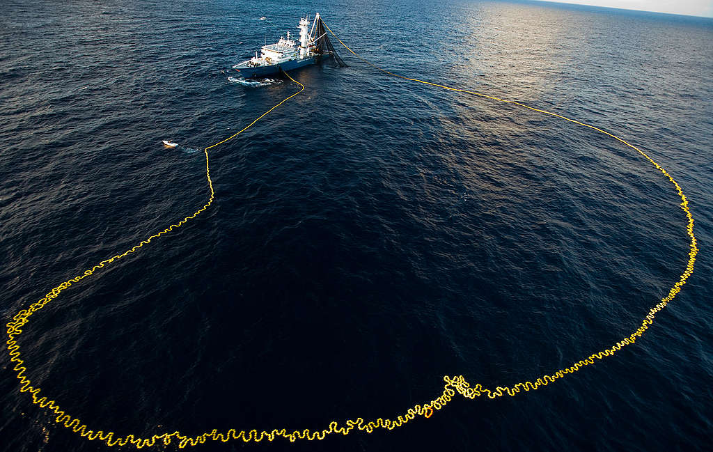 Albatun Tres Fishing Vessel and Net near Kiribati. © Paul Hilton / Greenpeace Albatun Tres Fishing Vessel and Net near Kiribati. © Paul Hilton / Greenpeace