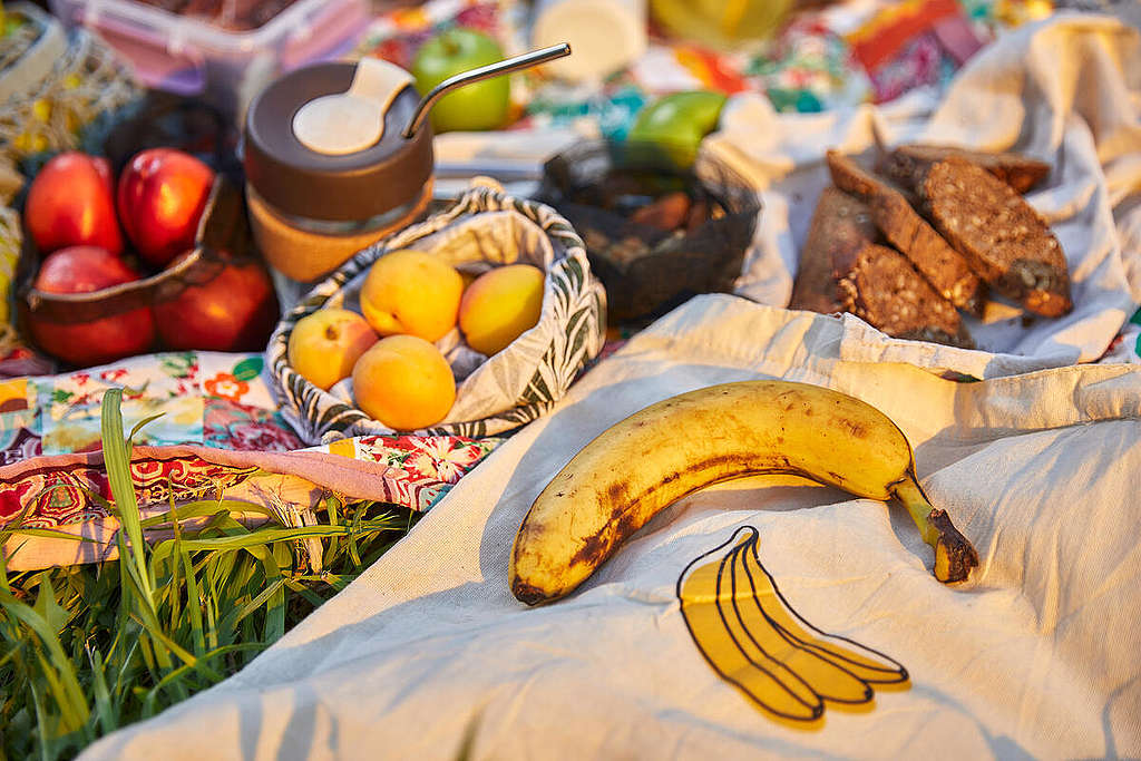 Plastic Free Picnic in Russia. © Greenpeace / Zamyslov Slava