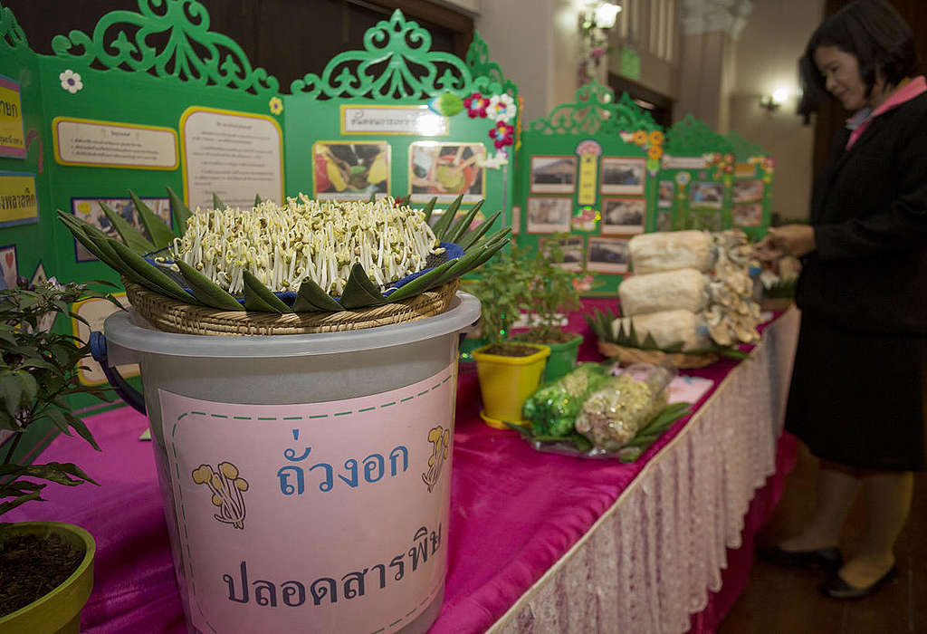 National Safe School Lunch Policy Meeting in Thailand. © Chanklang  Kanthong / Greenpeace