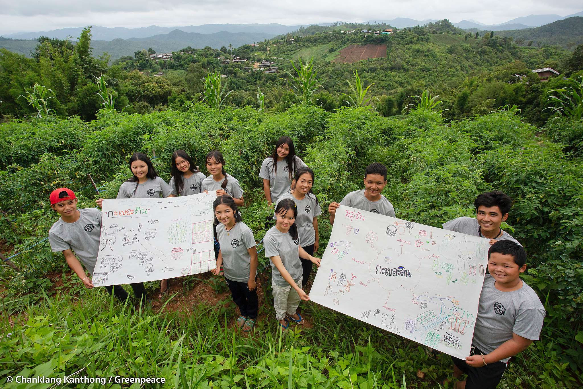 © Chanklang  Kanthong / Greenpeace