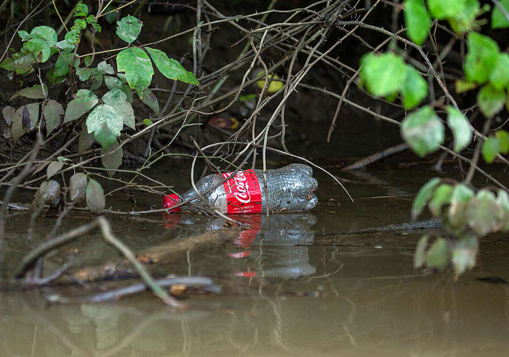 Coca Cola Plastic Pollution in the Anacostia River in Maryland. © Tim Aubry / Greenpeace Coca Cola Plastic Pollution in the Anacostia River in Maryland. © Tim Aubry / Greenpeace