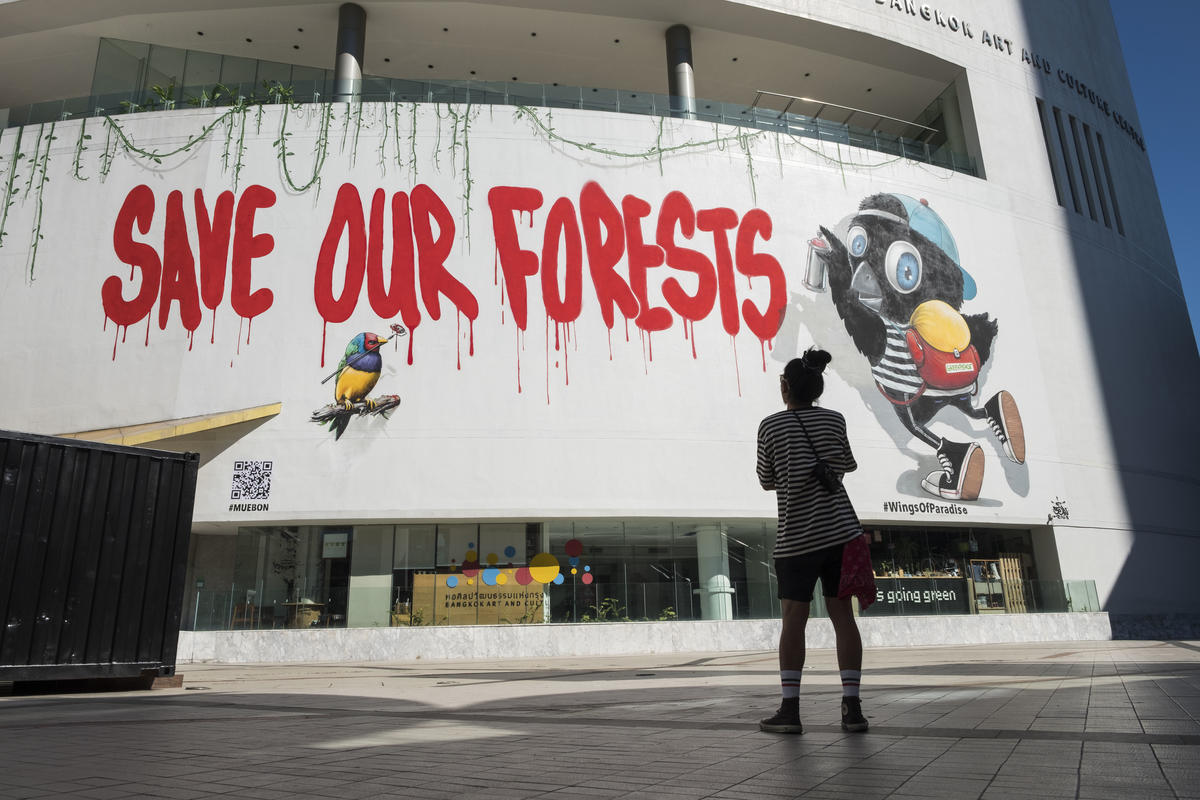 Wings of Paradise Mural in Bangkok. © Arnaud Vittet / Greenpeace