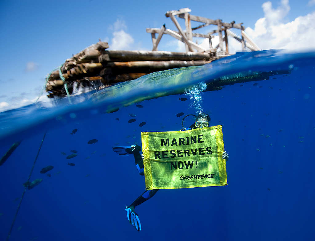 FAD in the Pacific Ocean. © Paul Hilton / Greenpeace FAD in the Pacific Ocean. © Paul Hilton / Greenpeace
