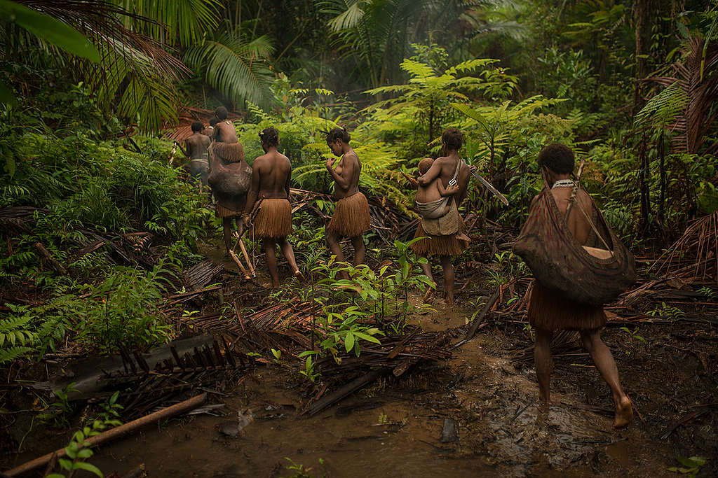 Indigenous People in the Rainforest of West Papua. © Markus Mauthe / Greenpeace Indigenous People in the Rainforest of West Papua. © Markus Mauthe / Greenpeace