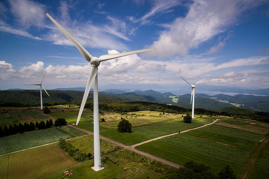 Wind Farm in Fukushima. © Guillaume Bression / Greenpeace Wind Farm in Fukushima. © Guillaume Bression / Greenpeace