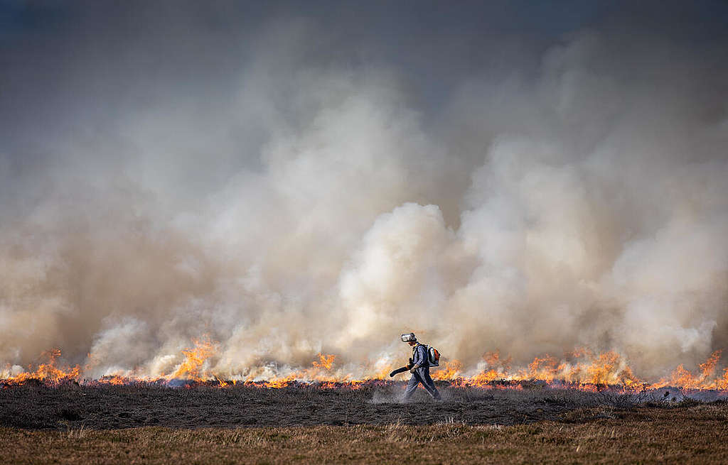 ไฟป่าในพื้นที่ชุ่มน้ำ อุทยานแห่งชาติ North York Moors UK. © Steve Morgan / Greenpeace