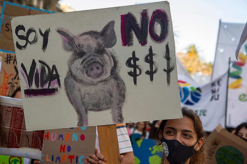 Global March for the Climate in Buenos Aires. © Marcela Casarino / Greenpeace Global March for the Climate in Buenos Aires. © Marcela Casarino / Greenpeace