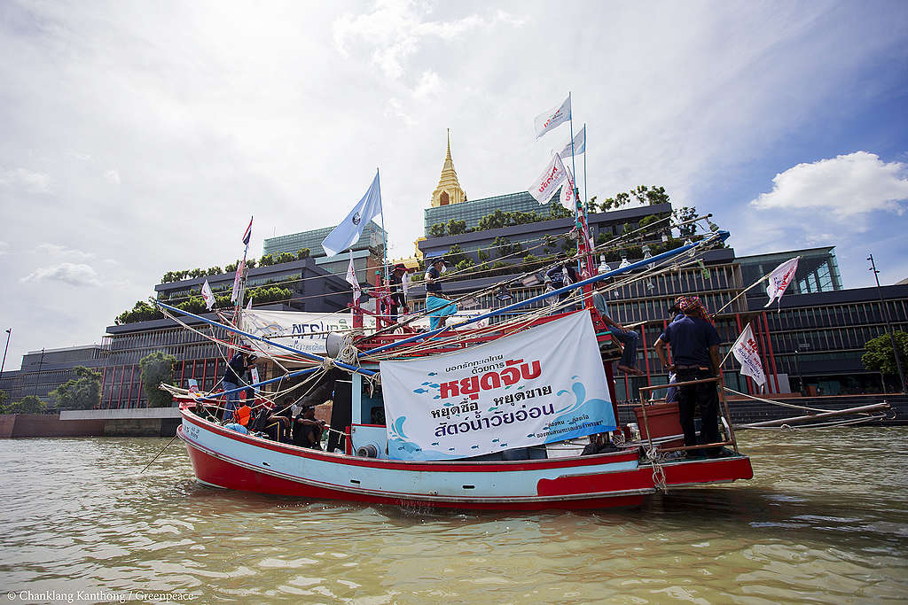 เครือข่ายประมงพื้นบ้าน กิจกรรมทวงคืนน้ำพริกปลาทู