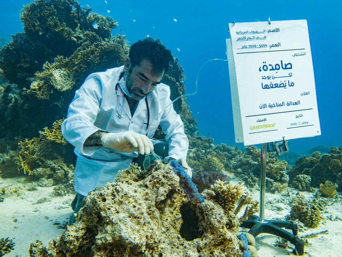 Diagnosis of Coral Reef in the Red Sea off the coast of Egypt.
