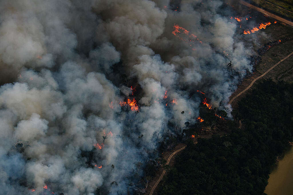 Fire Monitoring in the Amazon in Brazil in July, 2022.
