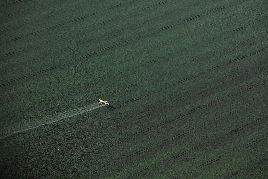 Soya Production in the Cerrado Region, Brazil.