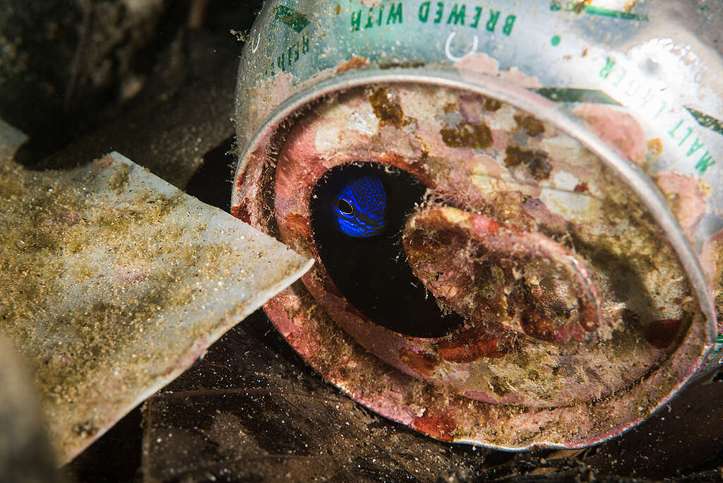 Ocean Plastic Pollution in Phuket Province. © Sirachai Arunrugstichai / Greenpeace Ocean Plastic Pollution in Phuket Province. © Sirachai Arunrugstichai / Greenpeace