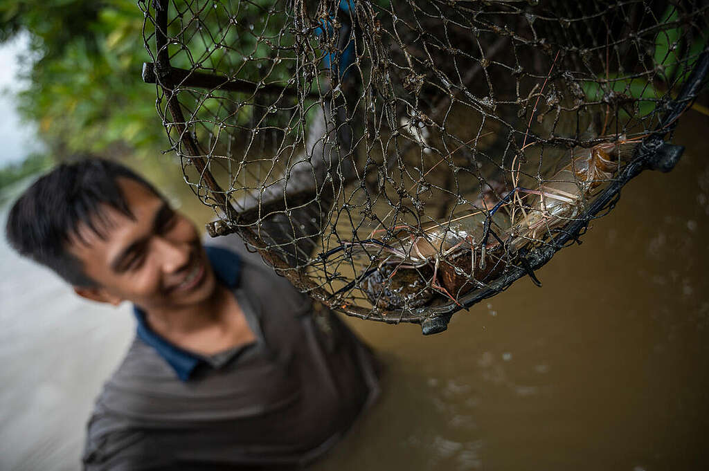 Fisher in Na Tub Canal, Chana District, Songkhla, Thailand. © Sirachai Arunrugstichai / Greenpeace