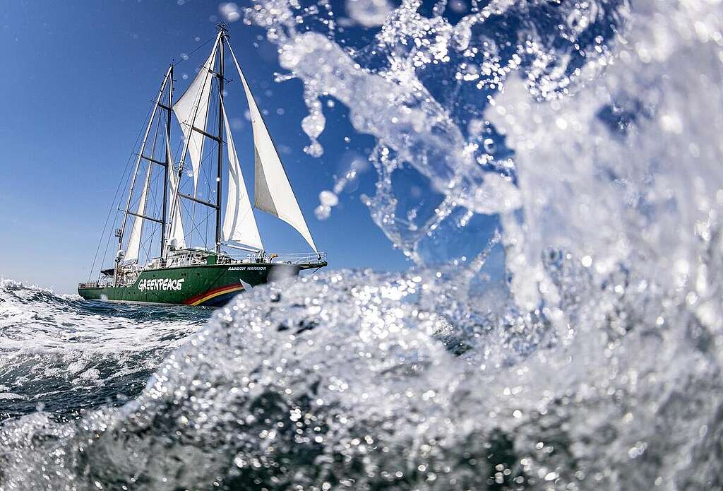 Rainbow Warrior in the Adriatic Sea. © Lorenzo Moscia / Greenpeace