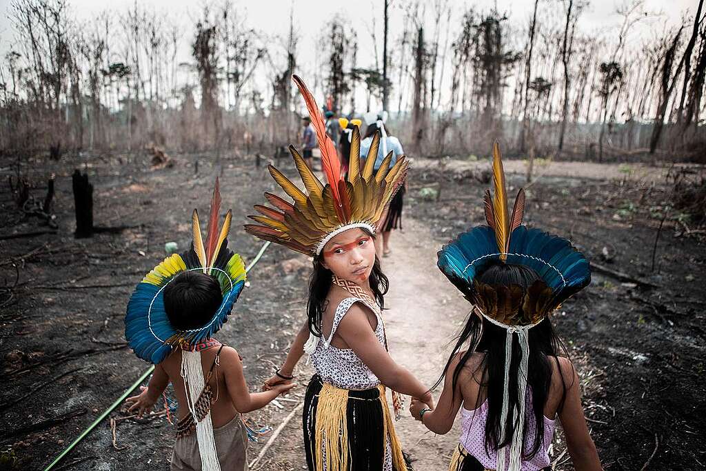 Members of the Huni Kuin Tribe in Brazil. © David Tesinsky / Greenpeace Members of the Huni Kuin Tribe in Brazil. © David Tesinsky / Greenpeace
