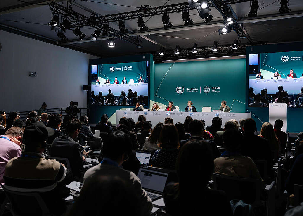 Greenpeace press conference on Article 6 and Biodiversity at COP29. © Marie Jacquemin / Greenpeace Greenpeace press conference on Article 6 and Biodiversity at COP29. © Marie Jacquemin / Greenpeace