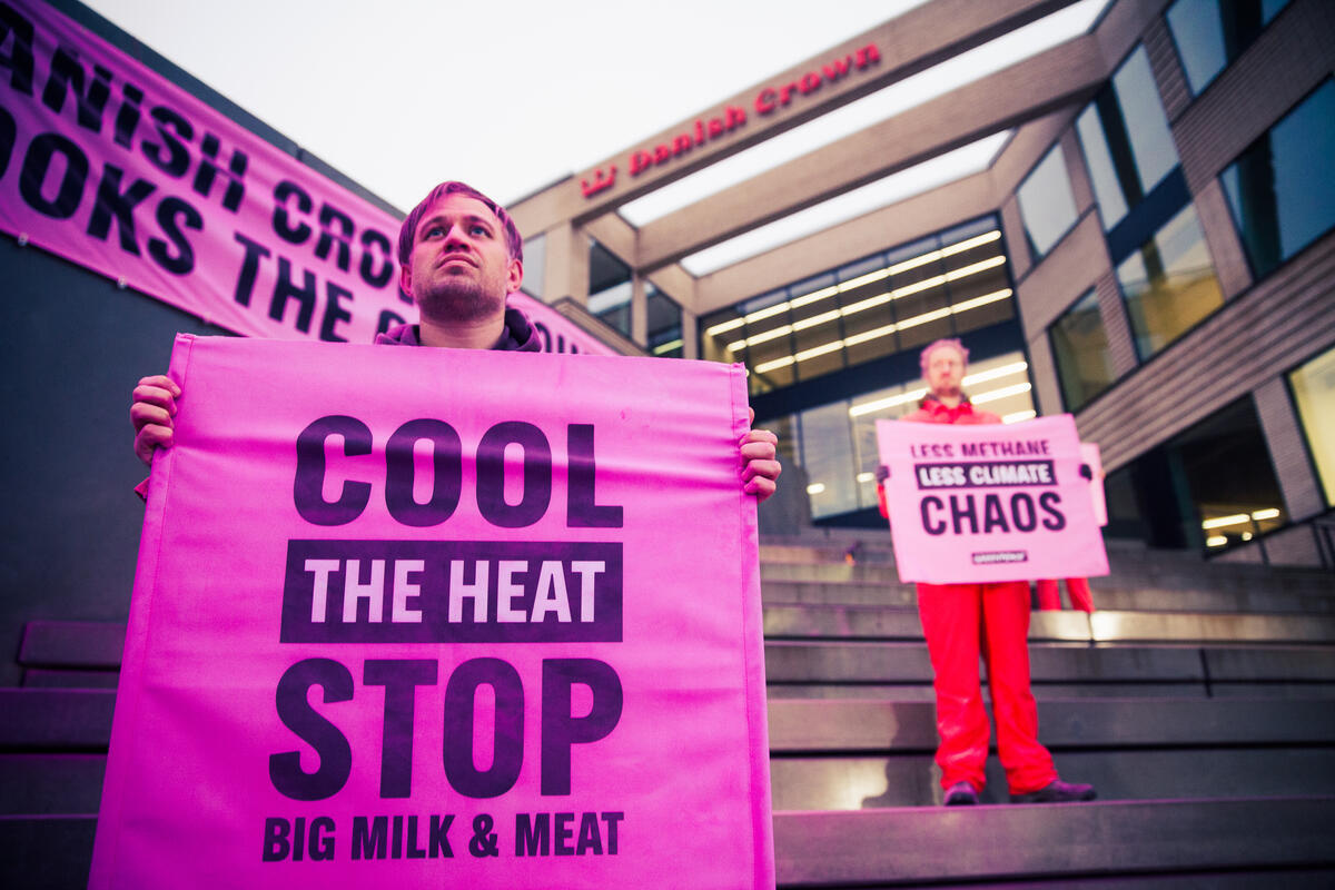 Methane Cooks the Climate - Protest at Danish Crown HQ in Denmark. © Michael Hedelain / Greenpeace