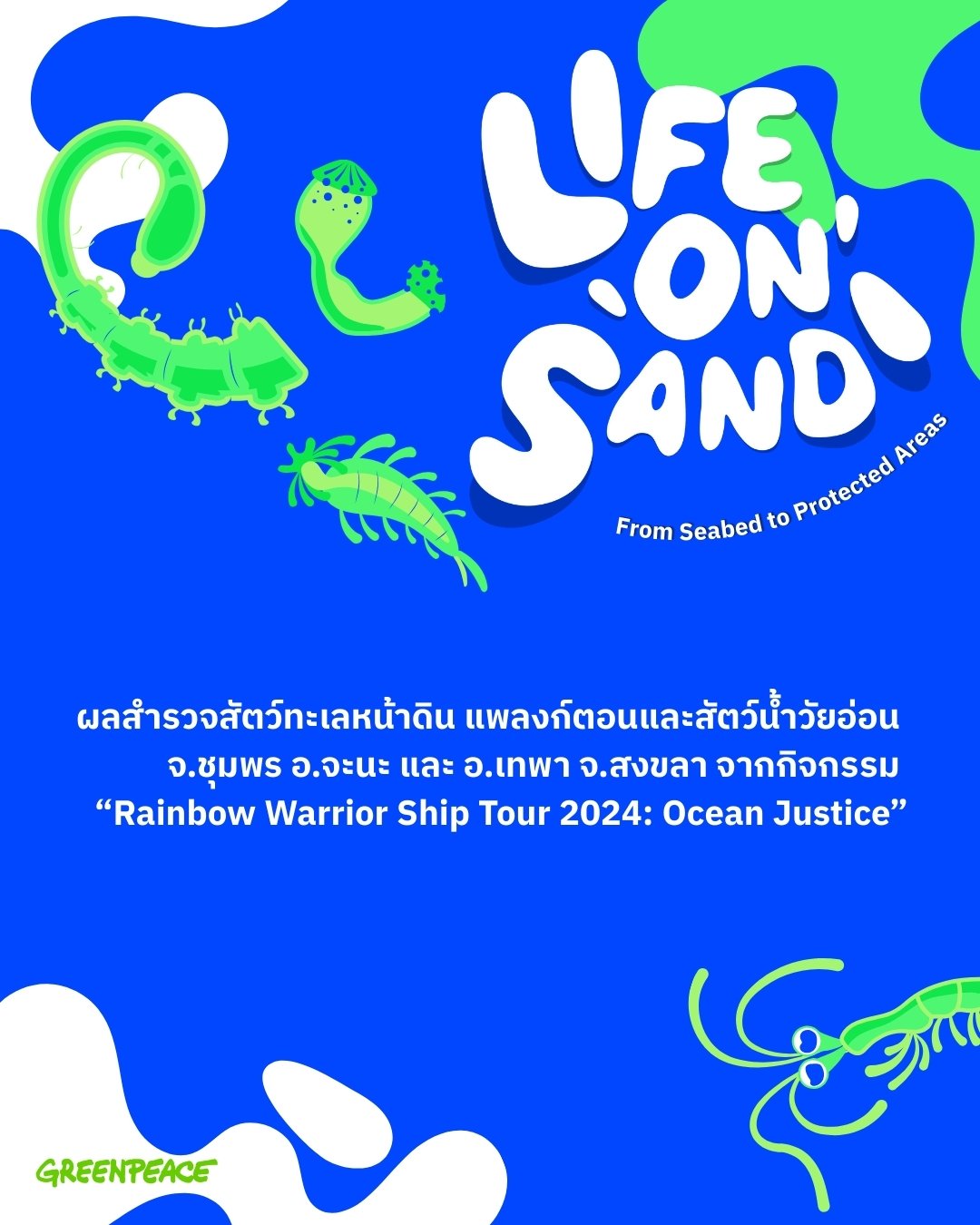 ผลสำรวจสัตว์ทะเลหน้าดิน แพลงก์ตอนและสัตว์น้ำวัยอ่อน จ.ชุมพร อ.จะนะ และ อ.เทพา จ.สงขลา จากกิจกรรม “Rainbow Warrior Ship Tour 2024: Ocean Justice”