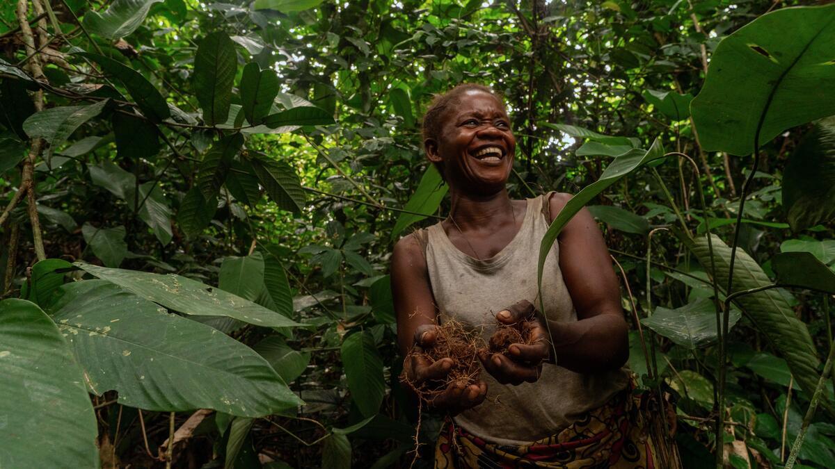 Forest Expedition Trip in Lokalama, DRC. © Greenpeace / Junior D. Kannah