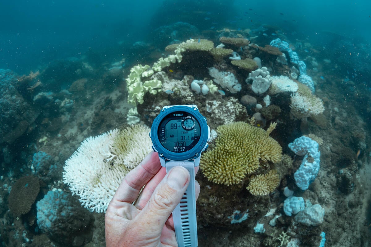 Ocean Temperature at 31.1°C on the Ningaloo Reef Causing Coral Bleaching, Western Australia. © Brooke Pyke Ocean Temperature at 31.1°C on the Ningaloo Reef Causing Coral Bleaching, Western Australia. © Brooke Pyke