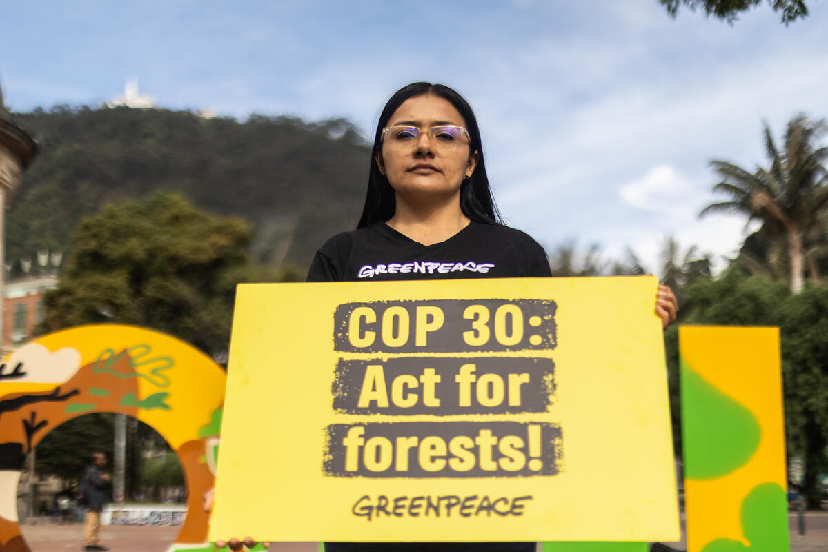 ผืนป่าทั่วโลกกำลังวิกฤต นี่คือสิ่งที่ผู้นำโลกควรทำเพื่อปกป้องป่าในเวที COP30