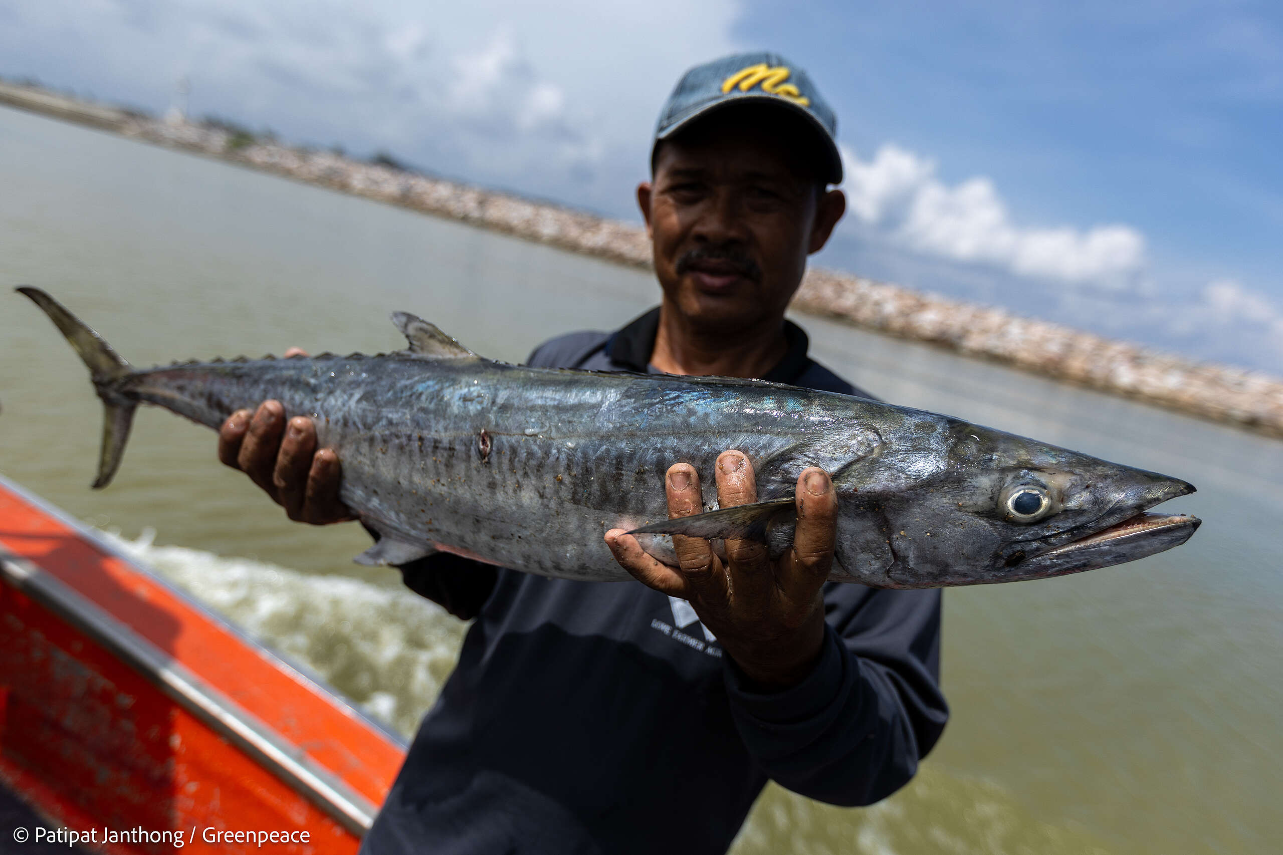 Greenpeace__เก็บสัตว์หน้าดิน_174