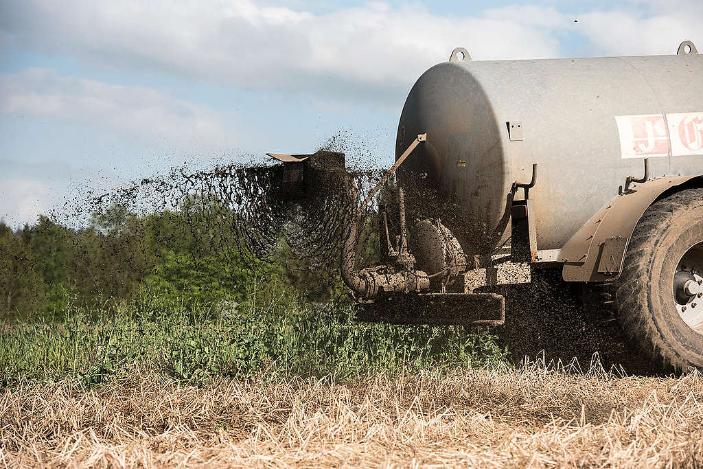 Liquid Manure Spreading in Northern Germany. © Michael Löwa / Greenpeace Liquid Manure Spreading in Northern Germany. © Michael Löwa / Greenpeace