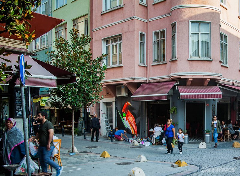 Endonezya'nın Cennet Kuşu, İstanbul'a Kondu