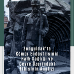 Zonguldak’ta Kömür Endüstrisinin Halk Sağlığı ve Çevre Üzerindeki Etkisinin Analizi