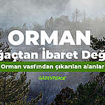 Orman Ağaçtan İbaret Değil [Orman vasfından çıkarılan alanlar nereler?]