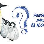 Penguenler hakkında 13 ilginç bilgi