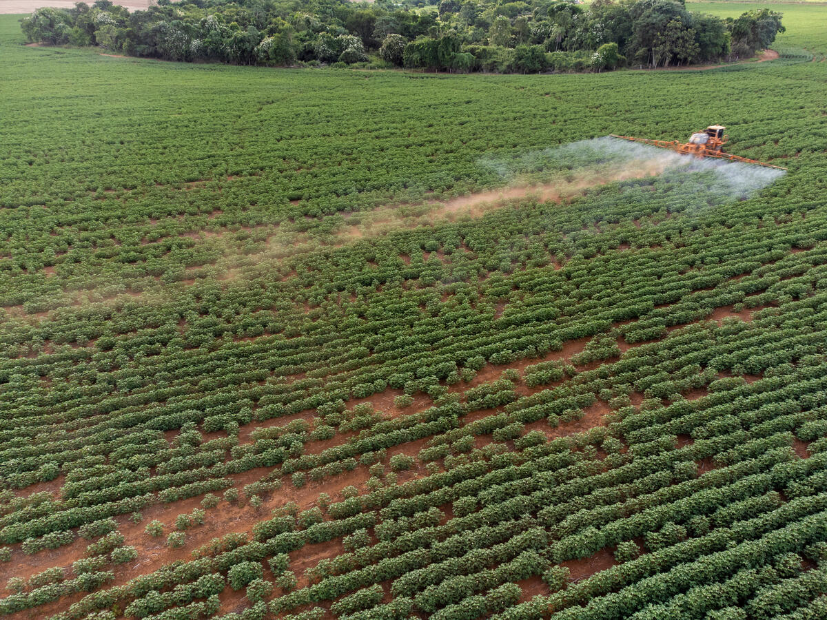 Cerrado Expedition in Brazil - Pesticides on Soy Field. © Caio Paganotti