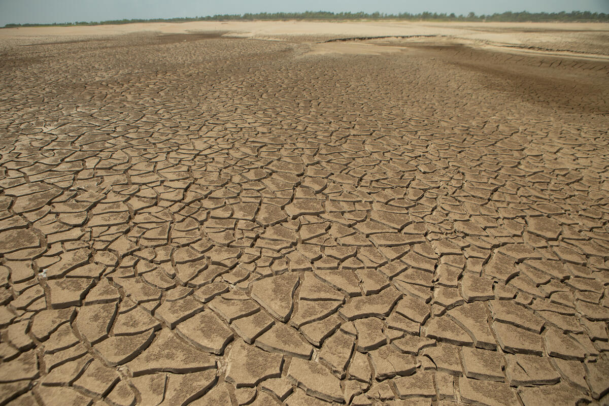 Daha kaç uyarıya ihtiyacımız var?: 2025 Emisyon Açığı Raporu 1,5 °C’nin aşılma tehlikesi olduğuna dikkat çekti
