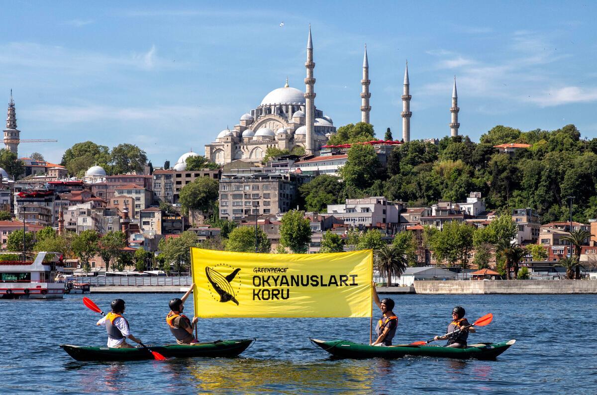 2025’te Greenpeace Türkiye’de öne çıkan kampanyalarımız