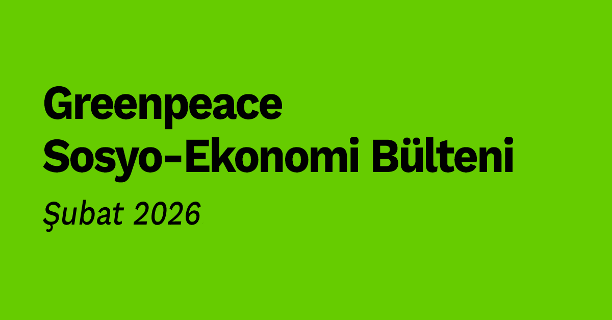 Greenpeace Sosyo-Ekonomi Bülteni | Şubat 2026 