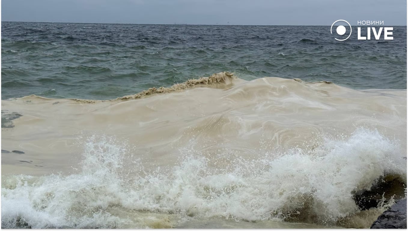 Sunflower oil pollution could persist at the bottom of the Black Sea for more than 6 years: removal and remediation are needed