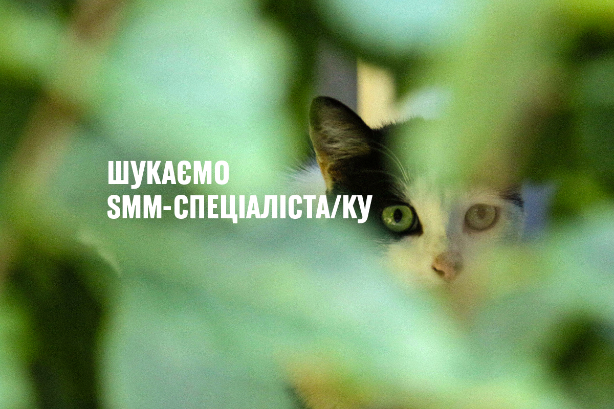 Шукаємо SMM-спеціаліста-ку