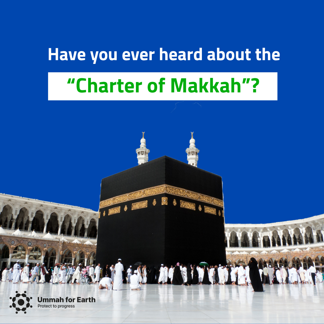 The Charter of Makkah: how does it advocate for the environment ...
