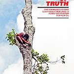 Moment of Truth: Time for Brands to Come Clean About Their Links to Forest Destruction for Palm Oil