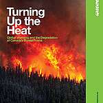 Executive summary - Turning Up the Heat : Global Warming and the Degradation of Canada's Boreal Forest