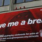 Eight Years Later Palm Oil is Still a Haunting Reality…