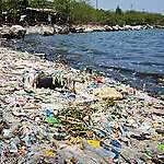How Can We Resist Rampant Consumerism?