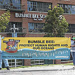 Greenpeace USA Welcomes Class Action Lawsuit Filed Against Bumble Bee Tuna Citing Misleading Sustainability Claims