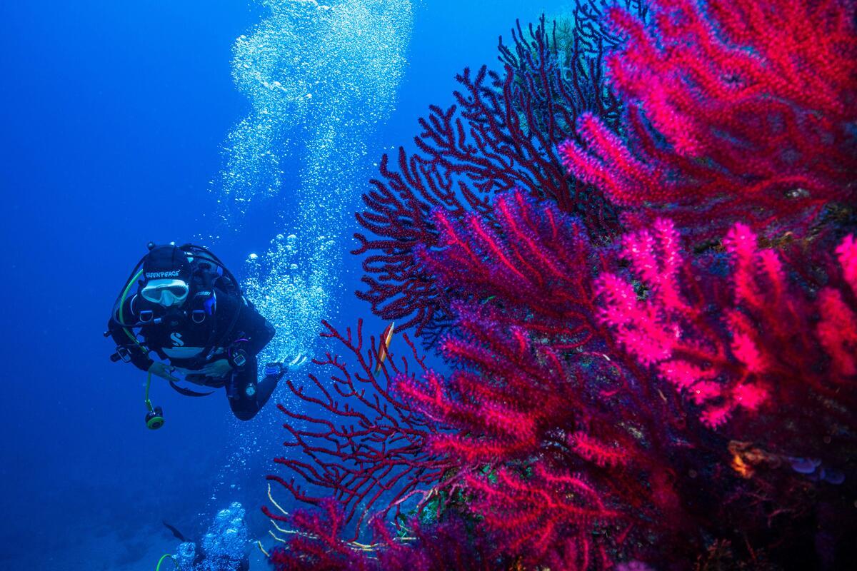 Underwater Sea Temperature Monitoring Station at Ventotene Island, Italy. © Greenpeace / Lorenzo Moscia