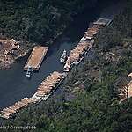 6 Reasons Stopping Deforestation (Still) Matters